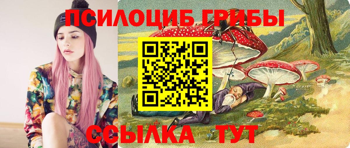 Чернушка  где можно купить наркотик  Вход с VPN  Псилоцибиновые грибы Psilocybe 